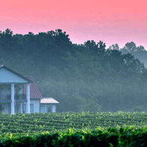 A white two-story house with columns sits among lush green vineyards, with dense forest in the background and a pink-orange sky at sunrise or sunset. Mist lingers over the landscape, creating a tranquil atmosphere. Fearrington Village