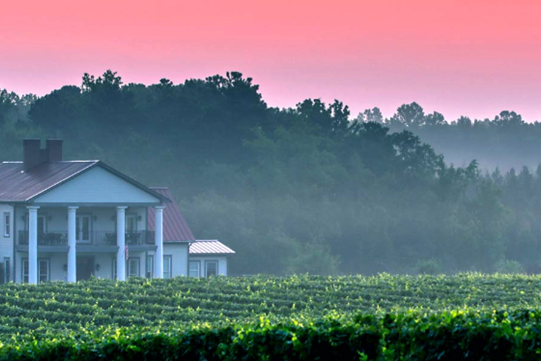 A white two-story house with columns sits among lush green vineyards, with dense forest in the background and a pink-orange sky at sunrise or sunset. Mist lingers over the landscape, creating a tranquil atmosphere. Fearrington Village