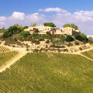 A vineyard stretches across rolling hills leading up to a large house surrounded by trees on a sunny day, with blue sky and scattered clouds in the background. Fearrington Village