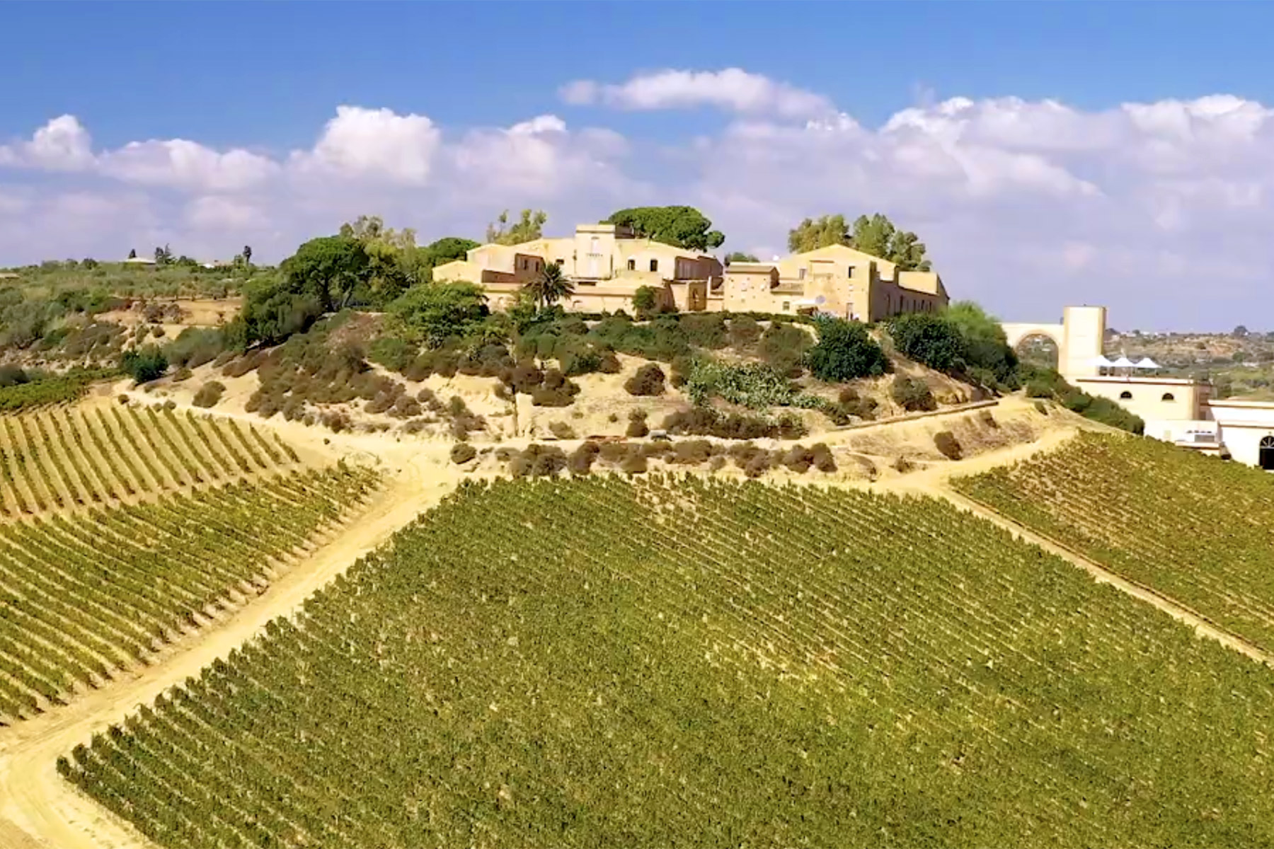 Free Wine Tasting - Feudi del Pisciotto 33 A vineyard stretches across rolling hills leading up to a large house surrounded by trees on a sunny day, with blue sky and scattered clouds in the background. Fearrington Village