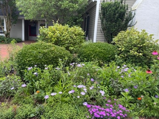 A garden with lush green bushes and a variety of blooming flowers, including purple and pink blossoms, in front of a house with gray siding and white trim. Fearrington Village