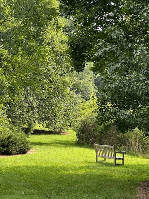 A wooden bench sits on green grass beneath large leafy trees in a peaceful, sunlit park, with dense greenery in the background. Fearrington Village