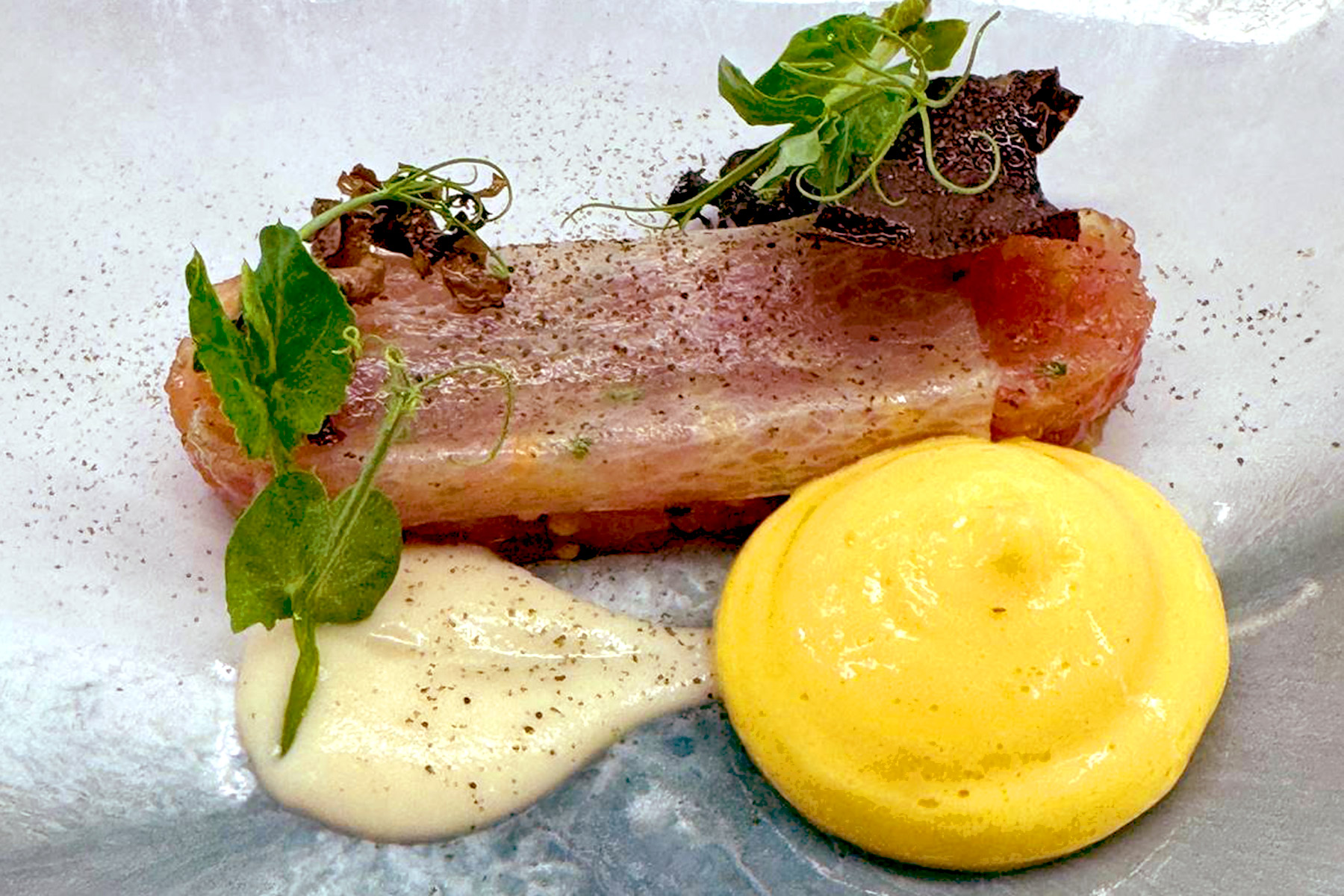 A gourmet dish featuring a slice of cured meat topped with herbs and a black truffle slice, accompanied by a yellow foam, a white sauce, and garnished with microgreens on a light-colored plate. Fearrington Village