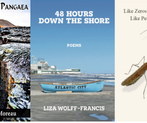 Our Spetember series of Poetry readings cosponsored with the NC Poetry Society continues on Saunday, September 28 at 2pm