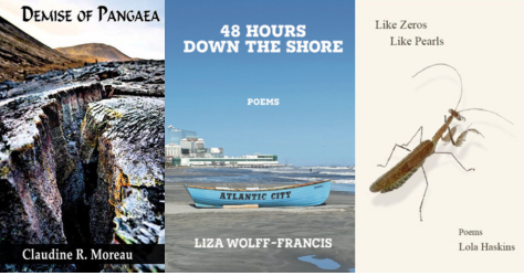 Our Spetember series of Poetry readings cosponsored with the NC Poetry Society continues on Saunday, September 28 at 2pm