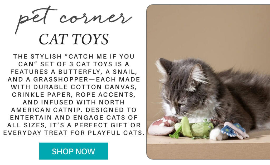 A fluffy gray and white cat plays with colorful cat toys shaped like a butterfly, snail, and grasshopper, displayed on a light surface beside a product description and a teal "Shop Now" button. "the stylish “Catch Me If You Can” set of 3 Cat Toys is a features a butterfly, a snail, and a grasshopper—each made with durable cotton canvas, crinkle paper, rope accents, and infused with North American catnip. Designed to entertain and engage cats of all sizes, it’s a perfect gift or everyday treat for playful cats." Fearrington Village