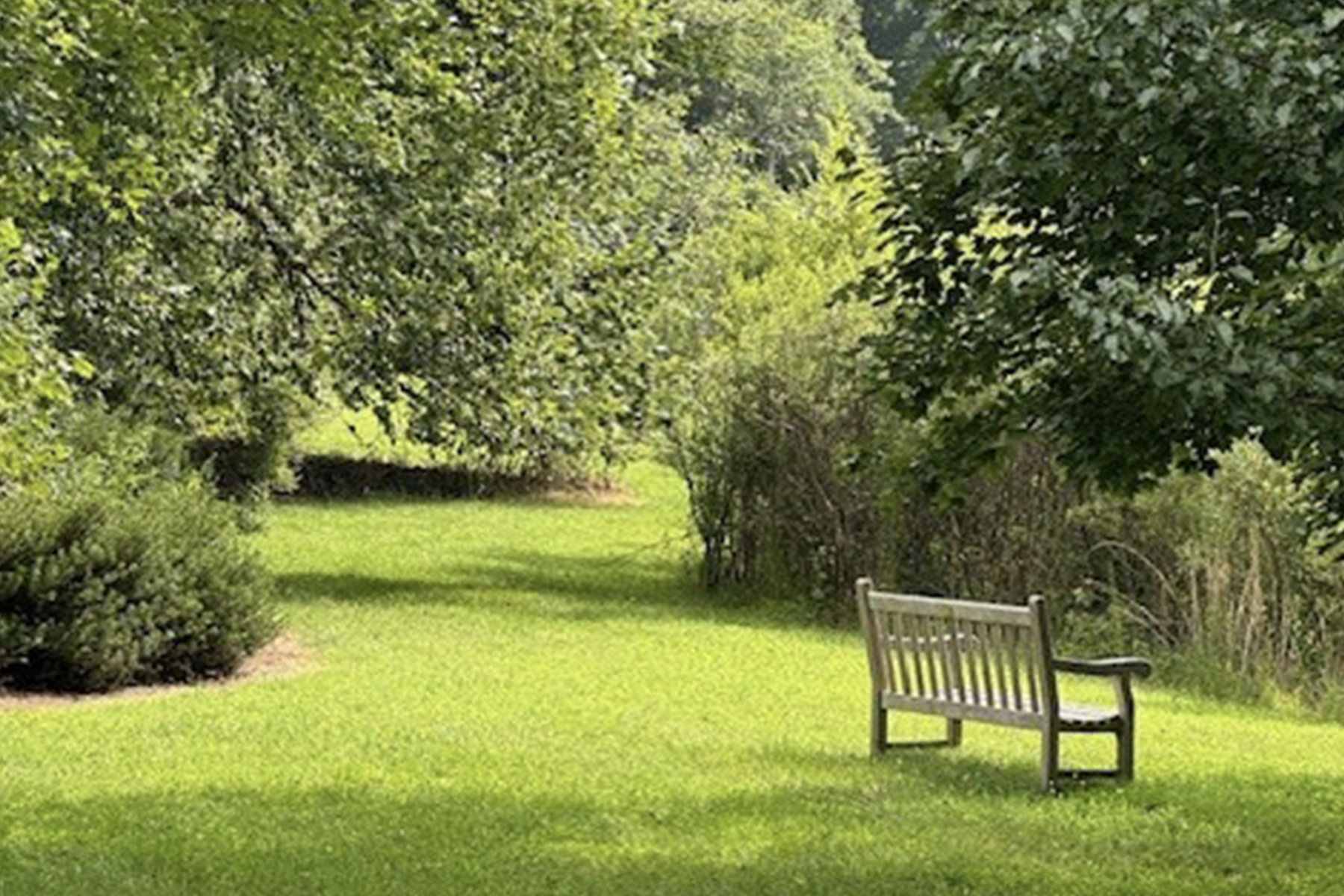 Fearrington Village: The Art of Slow Living in a Fast World 1 A wooden bench sits on a lush green lawn, surrounded by trees and bushes in a peaceful park on a sunny day. Fearrington Village
