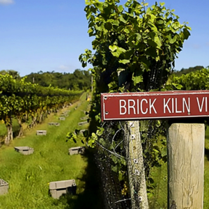 Rows of grapevines stretch into the distance under a blue sky. A red sign in the foreground reads "BRICK KILN VINEYARD." Grey crates are placed along the grassy paths between the vines. Fearrington Village