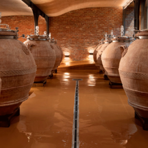 Rows of large, round clay amphorae with decorative patterns are lined up on a shiny floor in a brick-walled, warmly lit cellar, used for fermenting or storing wine or other beverages. Fearrington Village