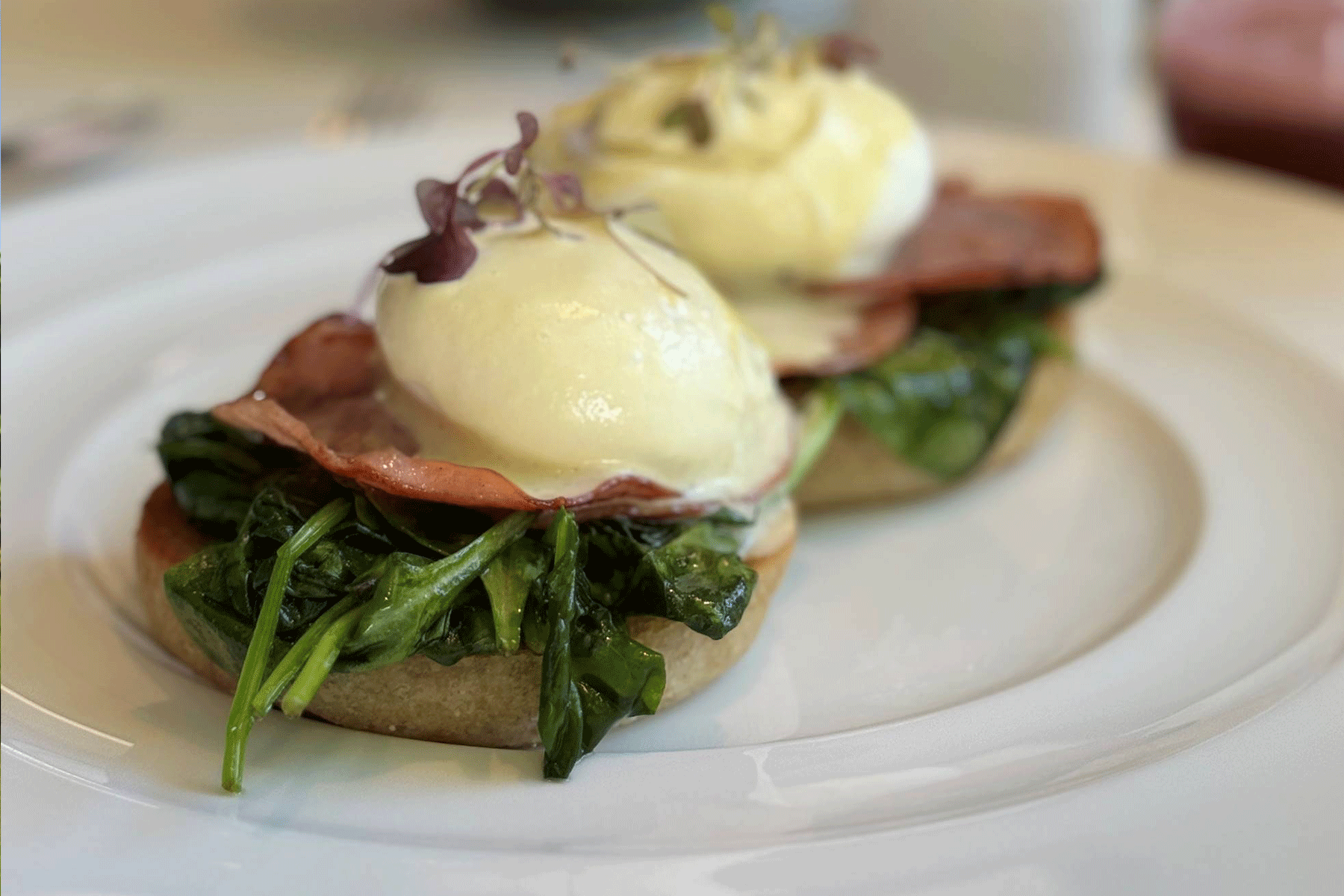 Two eggs Benedict served on toasted English muffins with sautéed spinach, ham, poached eggs, and hollandaise sauce, garnished with microgreens on a white plate. Fearrington Village