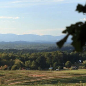 Scenic landscape with rolling green fields, scattered houses, dense forest, and distant blue mountains under a partly cloudy sky. Tree branches are visible in the upper right foreground. Fearrington Village