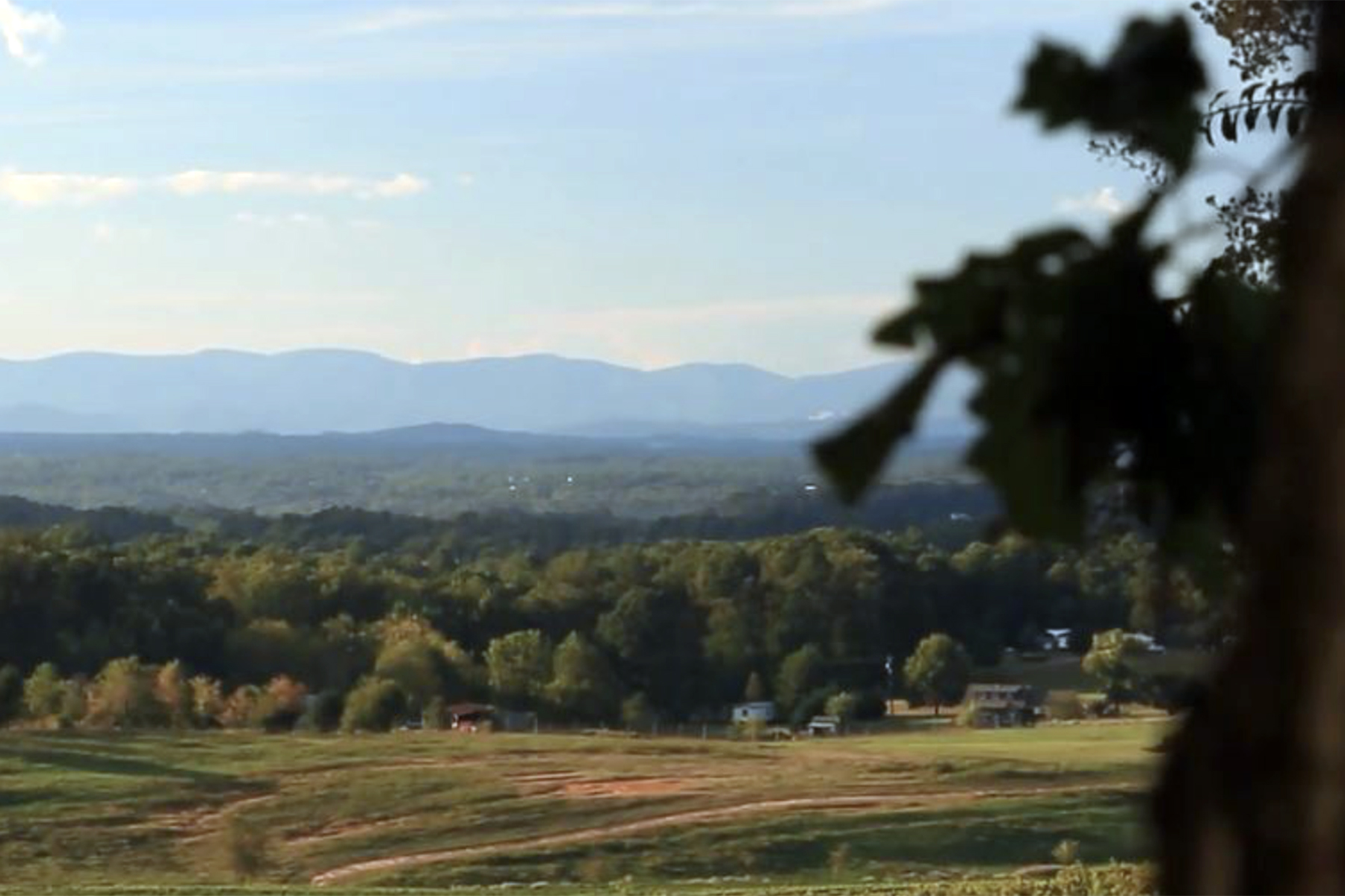 Scenic landscape with rolling green fields, scattered houses, dense forest, and distant blue mountains under a partly cloudy sky. Tree branches are visible in the upper right foreground. Fearrington Village
