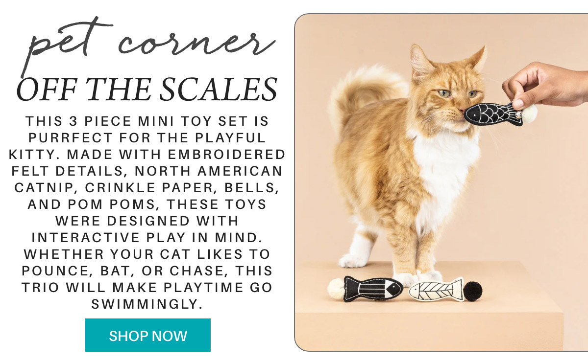 An orange tabby cat stands on a white surface while a hand offers it a fish-shaped black-and-white cat toy. Three similar toys lie on the floor in front of the cat. Text describes the toy set and promotes shopping. "this 3 piece mini toy set is purrfect for the playful kitty. Made with embroidered felt details, north american catnip, crinkle paper, bells, and pom poms, these toys were designed with interactive play in mind. Whether your cat likes to pounce, bat, or chase, this trio will make playtime go swimmingly." Fearrington Village