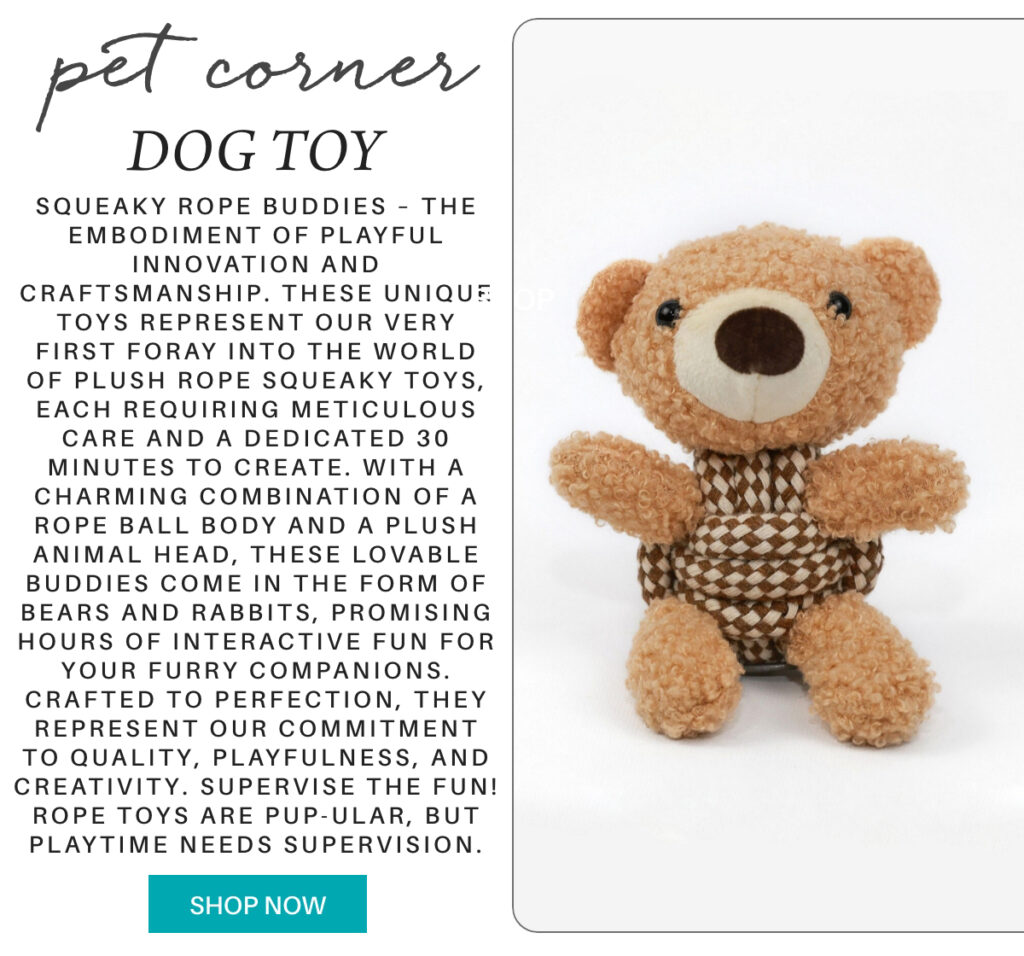 Promotional image featuring a plush rope teddy bear dog toy next to descriptive text about its playful design and craftsmanship, with a turquoise "Shop Now" button at the bottom. "Squeaky Rope Buddies – the embodiment of playful innovation and craftsmanship. These unique toys represent our very first foray into the world of plush rope squeaky toys, each requiring meticulous care and a dedicated 30 minutes to create. With a charming combination of a rope ball body and a plush animal head, these lovable buddies come in the form of bears and rabbits, promising hours of interactive fun for your furry companions. Crafted to perfection, they represent our commitment to quality, playfulness, and creativity. Supervise the Fun! Rope toys are pup-ular, but playtime needs supervision." Fearrington Village