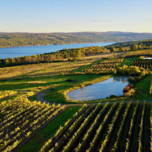 Aerial view of green vineyards beside a lake, with rolling hills and a red barn in the background under a clear blue sky. Fearrington Village