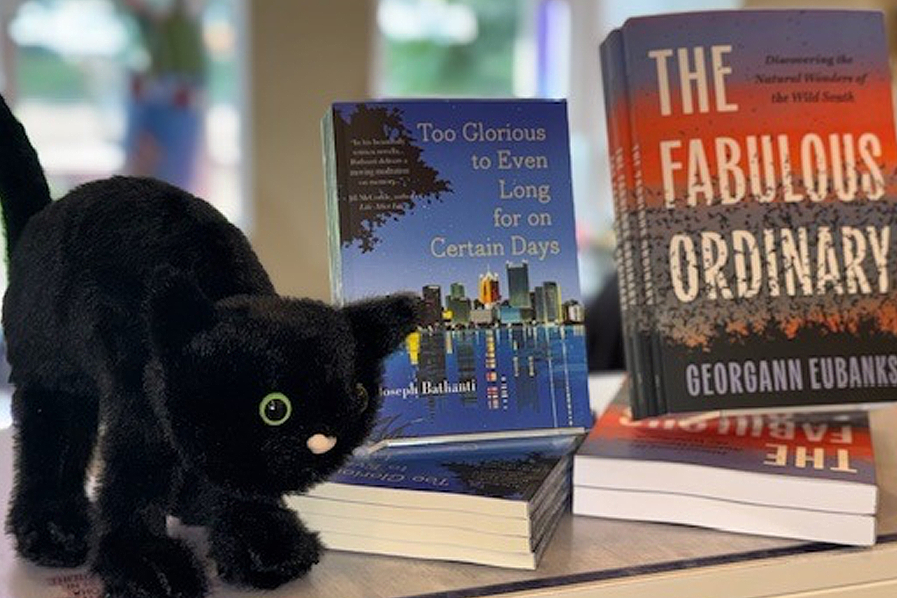 A plush black cat toy stands next to stacks of books, including "Too Glorious to Even Long for on Certain Days" by Joseph Bathanti and "The Fabulous Ordinary" by Georgann Eubanks, displayed on a table. Fearrington Village