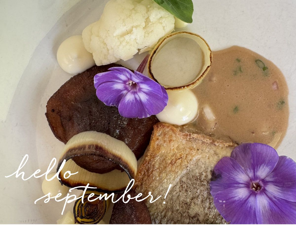 A plated dish with seared fish, roasted vegetables, creamy sauce, cauliflower, and purple edible flowers, with the text “hello september!” written in white cursive. Fearrington Village