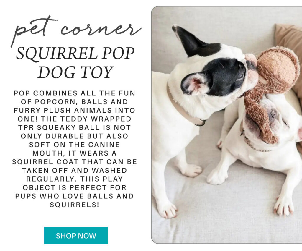 A white and black dog bites a brown plush squirrel toy. Text describes the “Squirrel Pop Dog Toy,” highlighting its removable, washable squirrel coat and durable squeaky ball inside. A “Shop Now” button appears below. "POP combines all the fun of popcorn, balls and furry plush animals into one! The teddy wrapped TPR squeaky ball is not only durable but also soft on the canine mouth, it wears a squirrel coat that can be taken off and washed regularly. This play object is perfect for pups who love balls and squirrels!" Fearrington Village