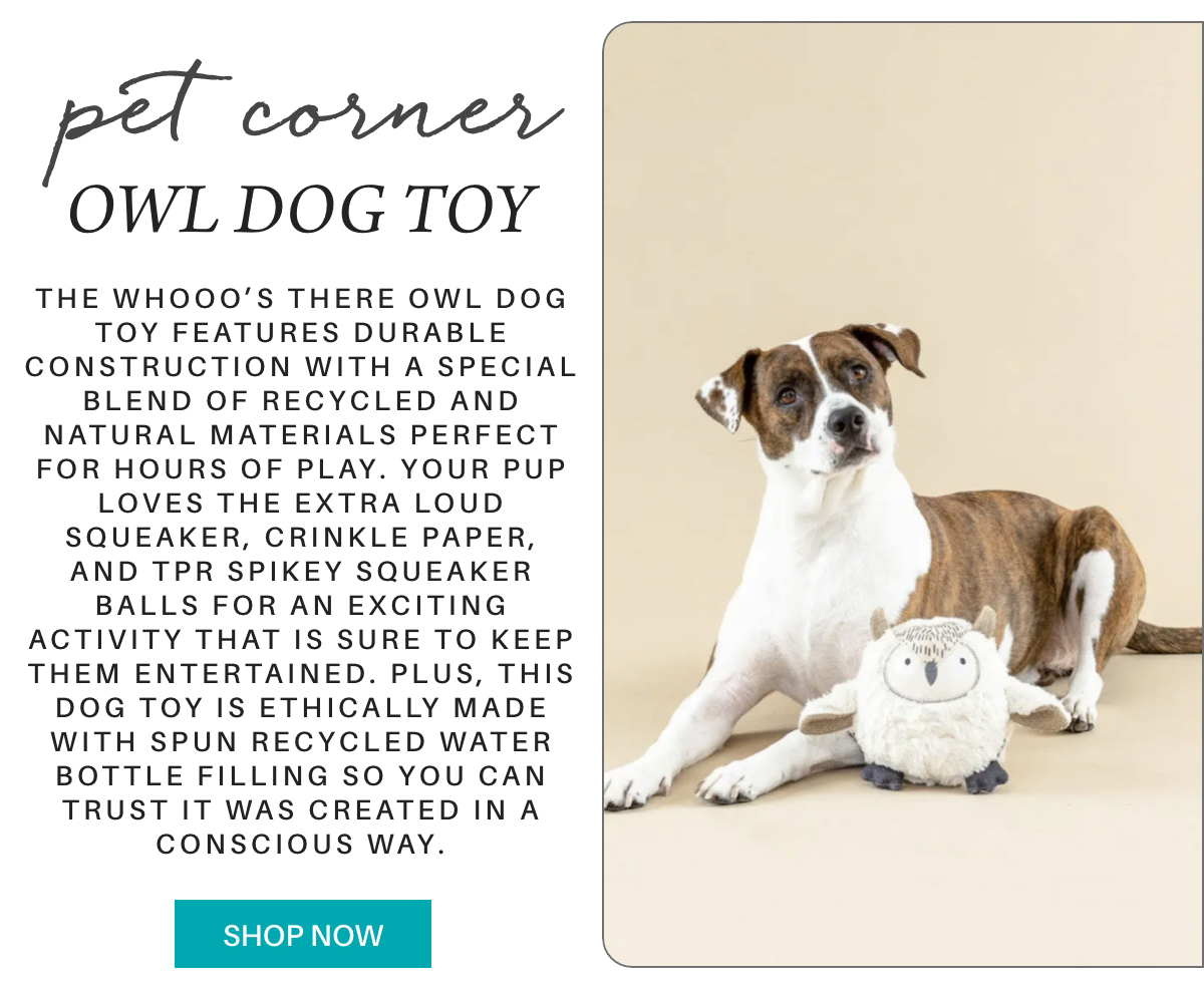 A brown and white dog sits on the floor next to a plush owl toy. To the left, text describes the toy’s eco-friendly materials and fun features for dogs. A turquoise button below the text says "SHOP NOW. "THE WHOOO’S THERE OWL DOG TOY features durable construction with a special blend of recycled and natural materials perfect for hours of play. Your pup loves the extra loud squeaker, crinkle paper, and TPR spikey squeaker balls for an exciting activity that is sure to keep them entertained. Plus, this dog toy is ethically made with spun recycled water bottle filling so you can trust it was created in a conscious way." Fearrington Village