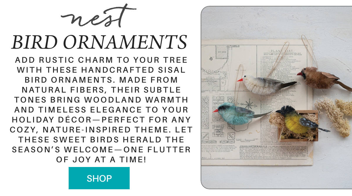 Three handcrafted sisal bird ornaments in natural colors rest on an open book atop a white surface, accompanied by text describing their rustic, woodland-themed charm for holiday décor. A teal "Shop" button appears below. Fearrington Village "Add rustic charm to your tree with these handcrafted sisal bird ornaments. Made from natural fibers, their subtle tones bring woodland warmth and timeless elegance to your holiday décor—perfect for any cozy, nature-inspired theme. Let these sweet birds herald the season’s welcome—one flutter of joy at a time!"