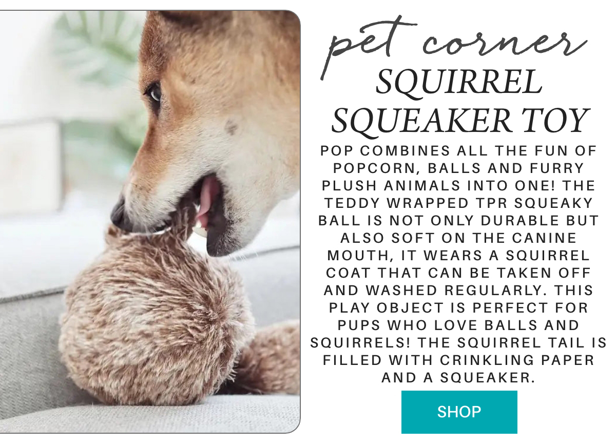 A dog chews on a plush squirrel squeaker toy while lying on a couch. Text describes the toy's features, including a removable, washable squirrel coat and a squeaky tail. A blue "SHOP" button appears at the bottom. Fearrington Village "POP combines all the fun of popcorn, balls and furry plush animals into one! The teddy wrapped TPR squeaky ball is not only durable but also soft on the canine mouth, it wears a squirrel coat that can be taken off and washed regularly. This play object is perfect for pups who love balls and squirrels! The squirrel tail is filled with crinkling paper and a squeaker."