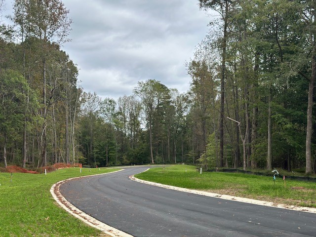 A newly paved road curves through a grassy area surrounded by tall trees under a cloudy sky, with small construction markers along the edges. Fearrington Village