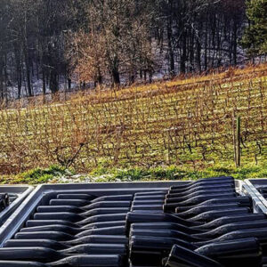 Rows of empty wine bottles are stacked in trays in the foreground, with a sunlit vineyard and leafless trees visible on a sloping hill in the background. Fearrington Village