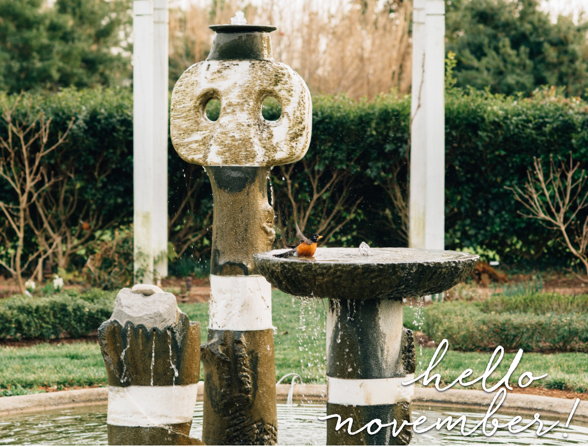 A bird perches on a weathered stone fountain in a garden, with greenery and bare trees in the background. Water flows gently, and "hello november!" is written in white script at the bottom right corner. Fearrington Village